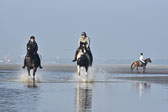 St-Peter-Ording-7-8-_448.jpg