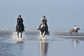St-Peter-Ording-7-8-_449.jpg