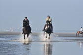 St-Peter-Ording-7-8-_451.jpg
