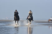 St-Peter-Ording-7-8-_452.jpg