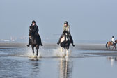 St-Peter-Ording-7-8-_453.jpg