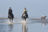 St-Peter-Ording-7-8-_454.jpg