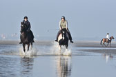St-Peter-Ording-7-8-_455.jpg