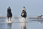 St-Peter-Ording-7-8-_456.jpg