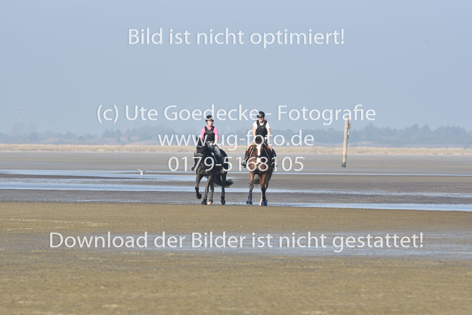 St-Peter-Ording-9-10_001.jpg