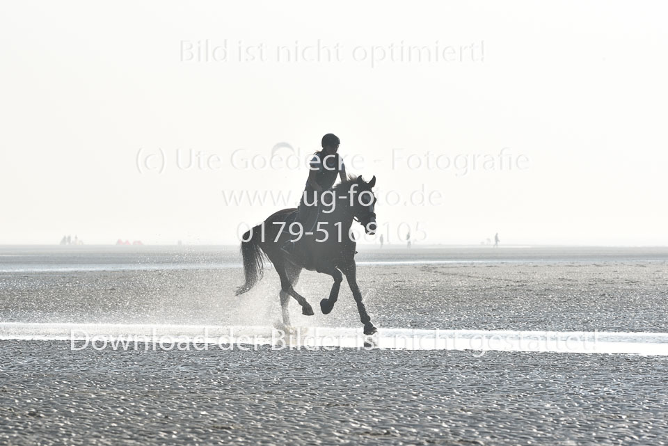 St-Peter-Ording-9-10_007.jpg