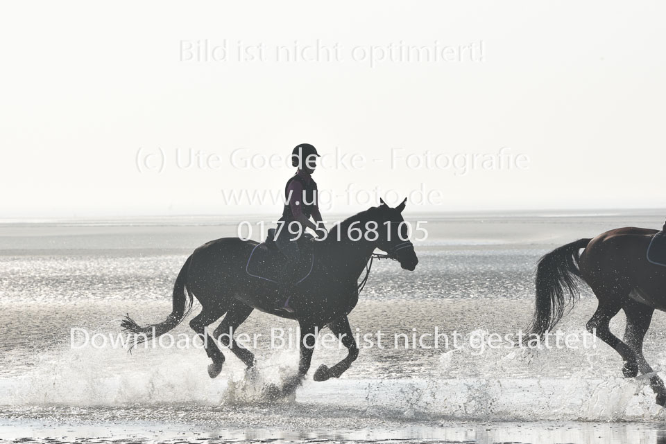 St-Peter-Ording-9-10_021.jpg