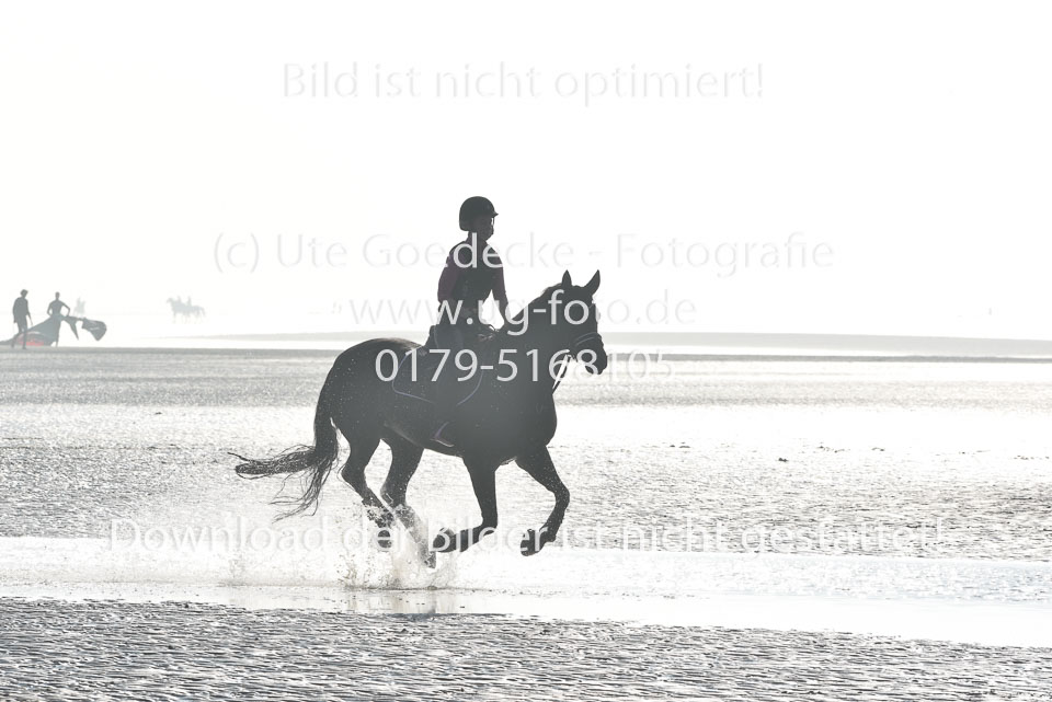 St-Peter-Ording-9-10_037.jpg