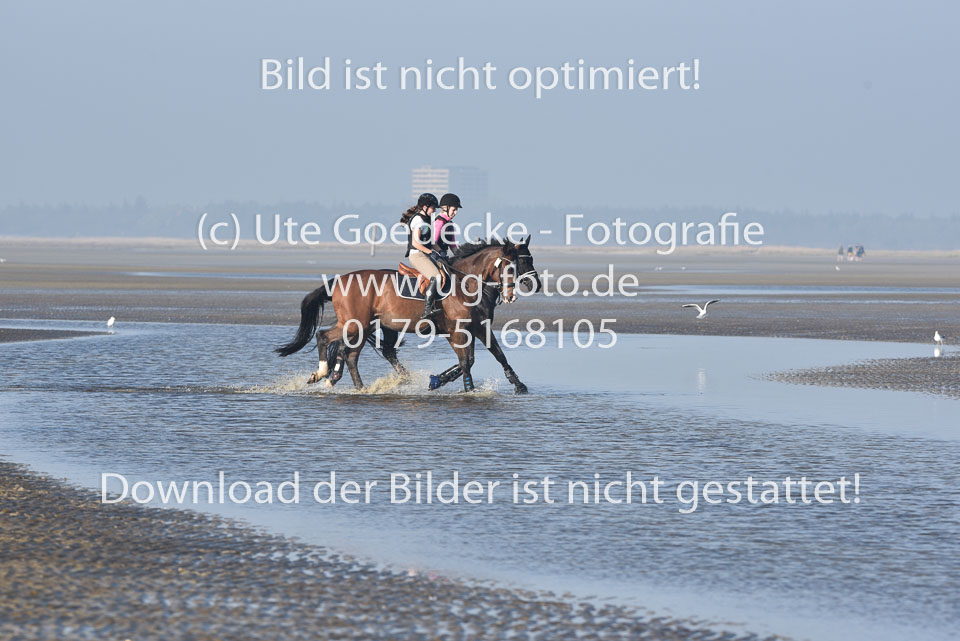 St-Peter-Ording-9-10_043.jpg