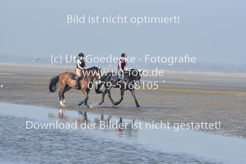 St-Peter-Ording-9-10_054.jpg