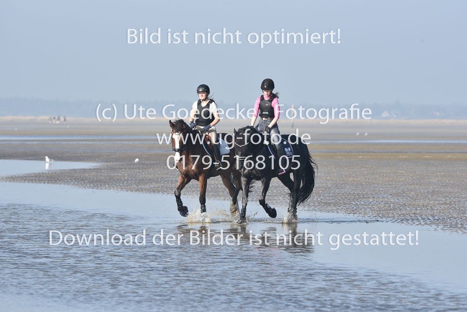 St-Peter-Ording-9-10_061.jpg