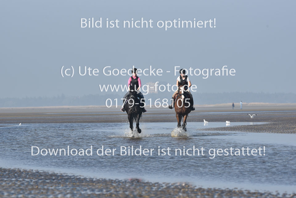 St-Peter-Ording-9-10_097.jpg