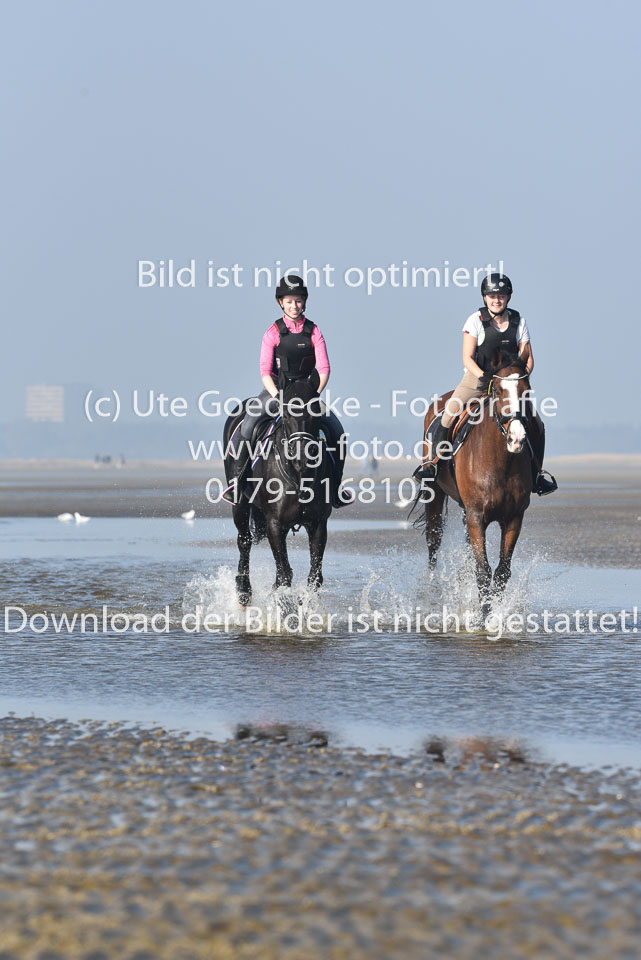 St-Peter-Ording-9-10_107.jpg