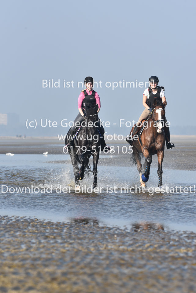 St-Peter-Ording-9-10_108.jpg