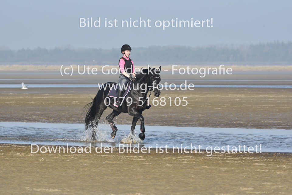 St-Peter-Ording-9-10_204.jpg