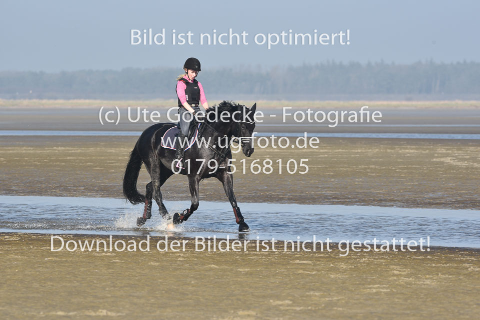 St-Peter-Ording-9-10_205.jpg