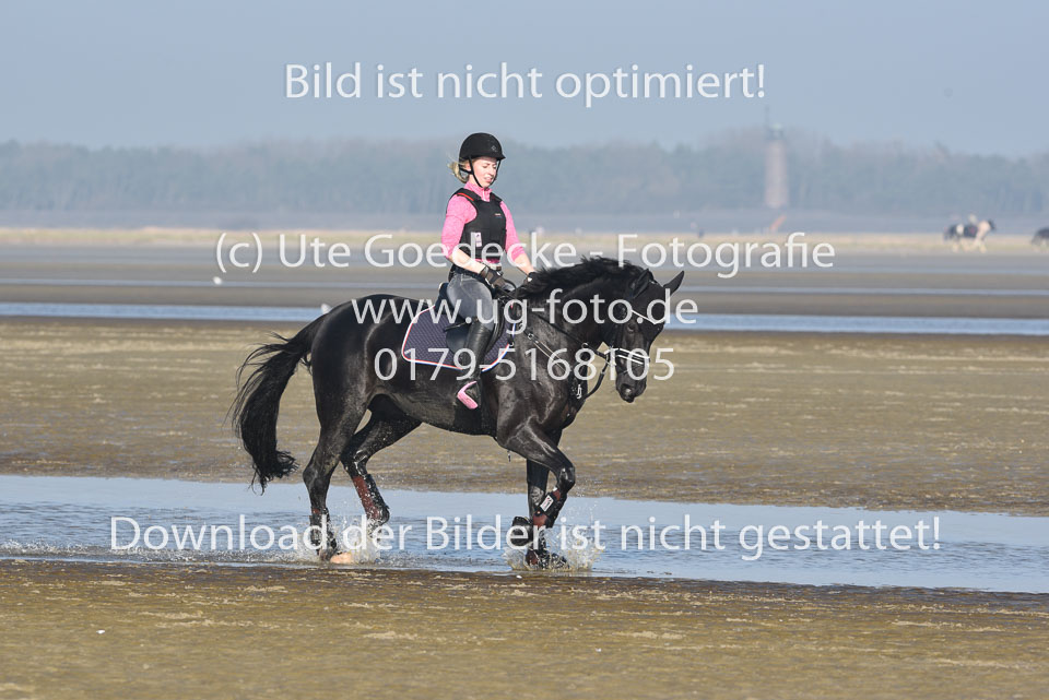 St-Peter-Ording-9-10_209.jpg