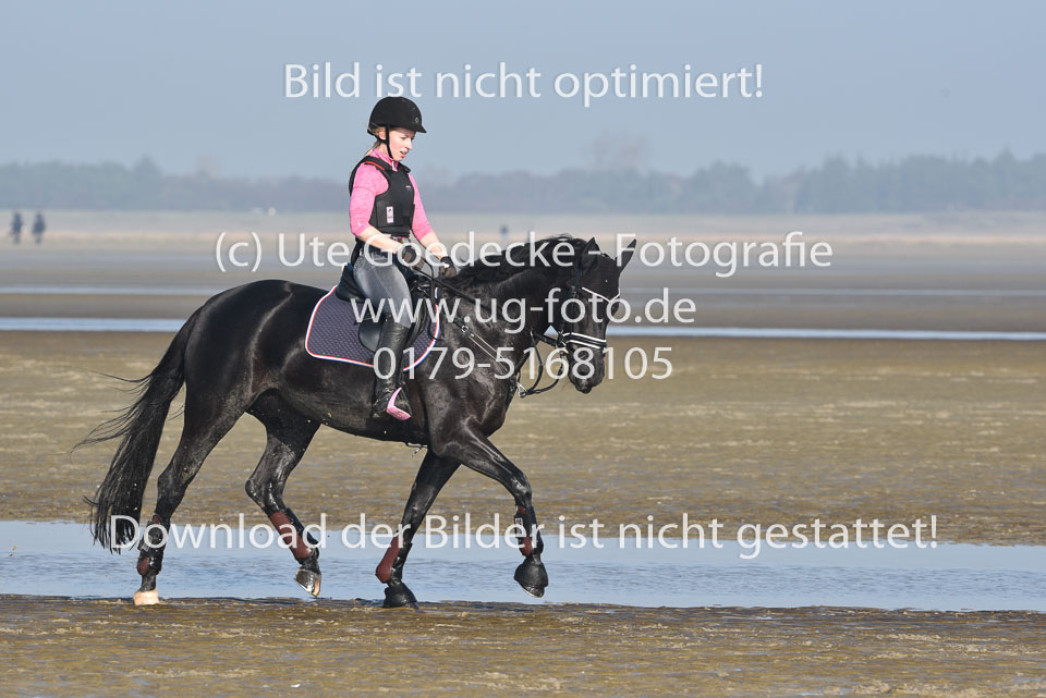 St-Peter-Ording-9-10_214.jpg