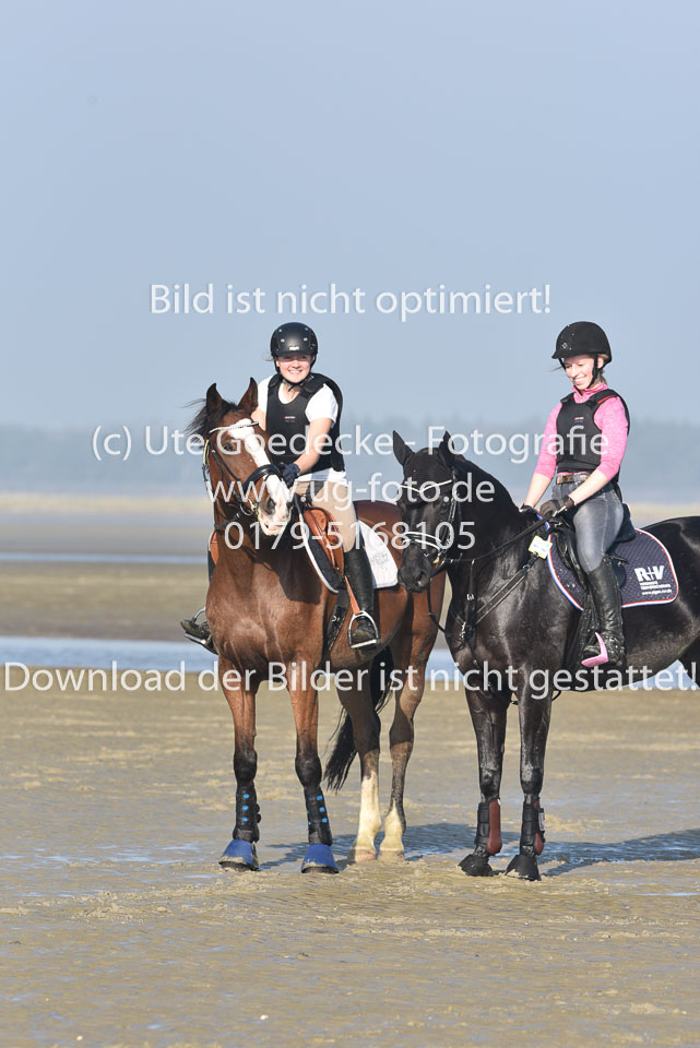 St-Peter-Ording-9-10_226.jpg