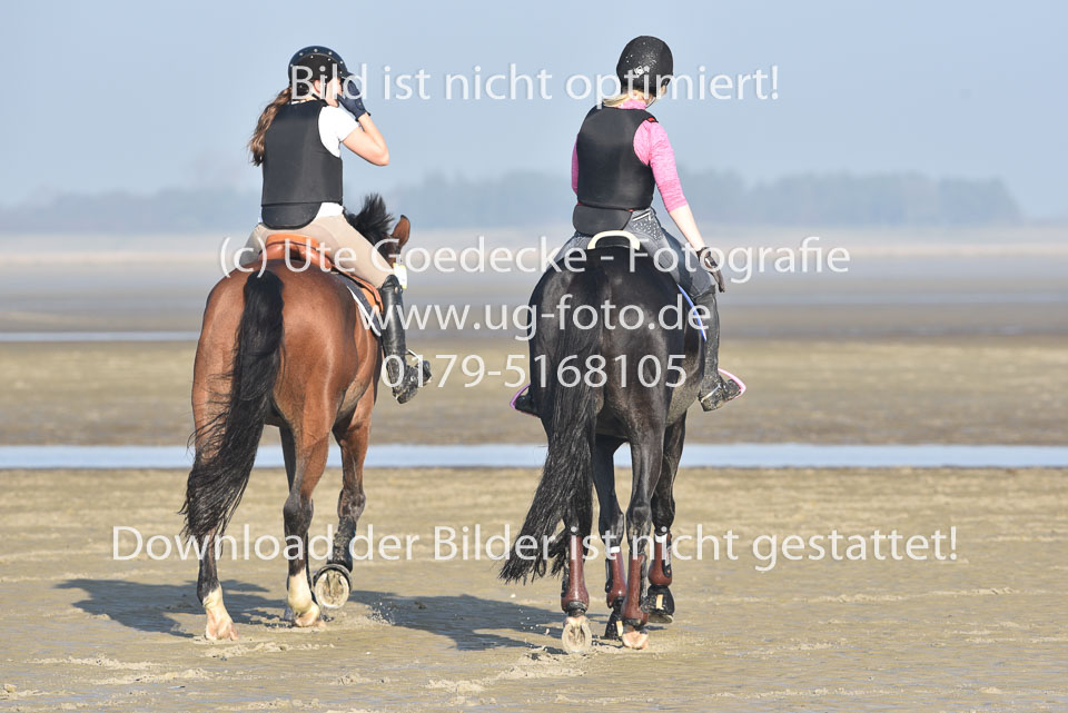 St-Peter-Ording-9-10_233.jpg