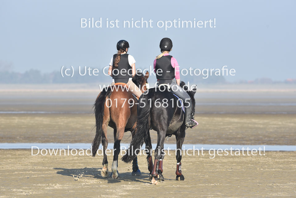 St-Peter-Ording-9-10_236.jpg