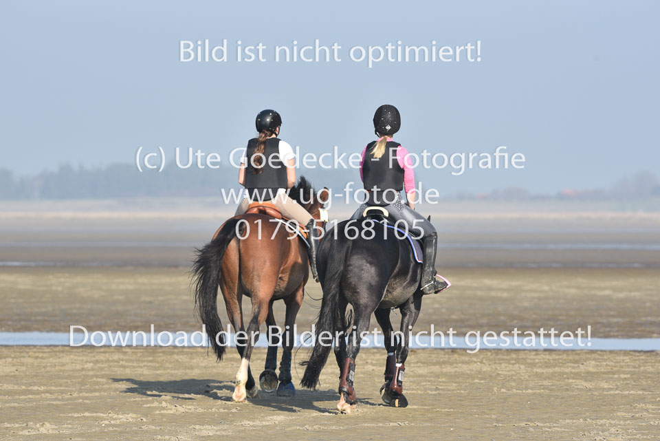 St-Peter-Ording-9-10_237.jpg