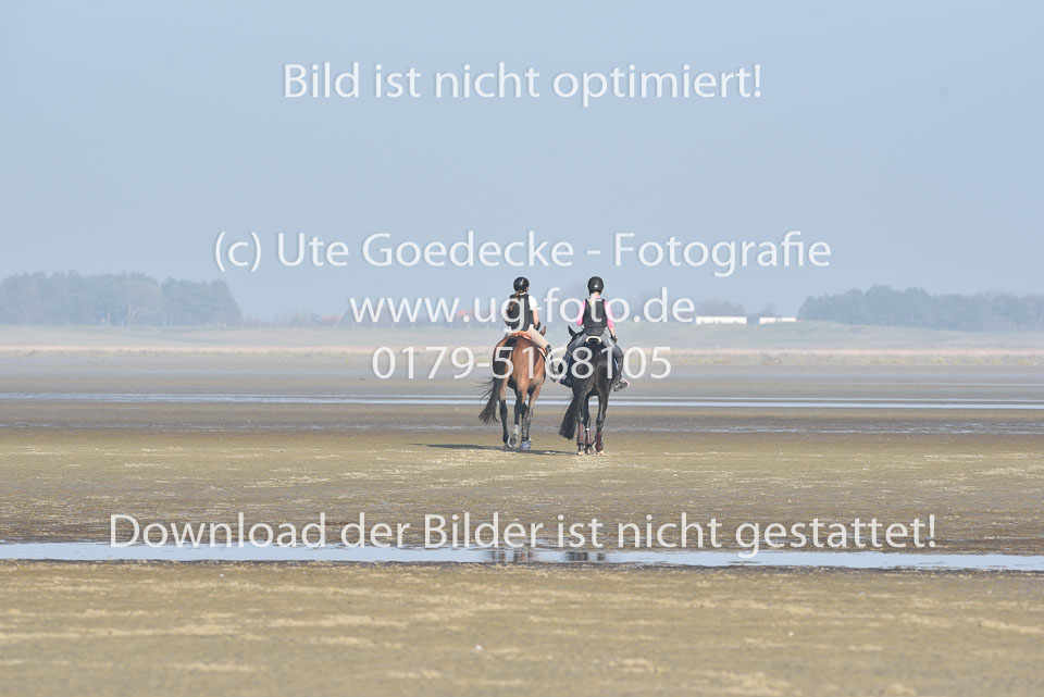 St-Peter-Ording-9-10_240.jpg