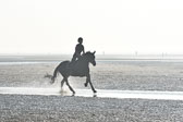 St-Peter-Ording-9-10_032.jpg