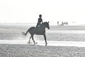 St Peter Ording 9+10
