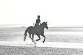 St Peter Ording 9+10