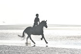 St Peter Ording 9+10