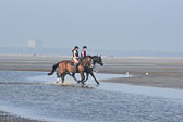 St-Peter-Ording-9-10_048.jpg