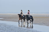 St-Peter-Ording-9-10_059.jpg