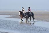 St-Peter-Ording-9-10_063.jpg