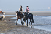 St-Peter-Ording-9-10_086.jpg