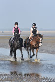 St-Peter-Ording-9-10_138.jpg