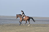 St-Peter-Ording-9-10_155.jpg
