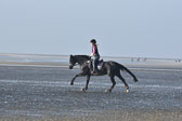 St-Peter-Ording-9-10_157.jpg