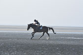 St-Peter-Ording-9-10_162.jpg