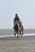 St-Peter-Ording-9-10_187.jpg