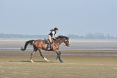 St-Peter-Ording-9-10_193.jpg