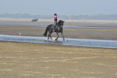 St-Peter-Ording-9-10_200.jpg