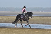 St-Peter-Ording-9-10_208.jpg
