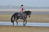 St-Peter-Ording-9-10_211.jpg