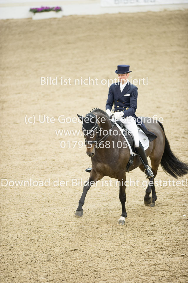 Gießelmann,-Jan-Dirk---Haya-17_05.jpg