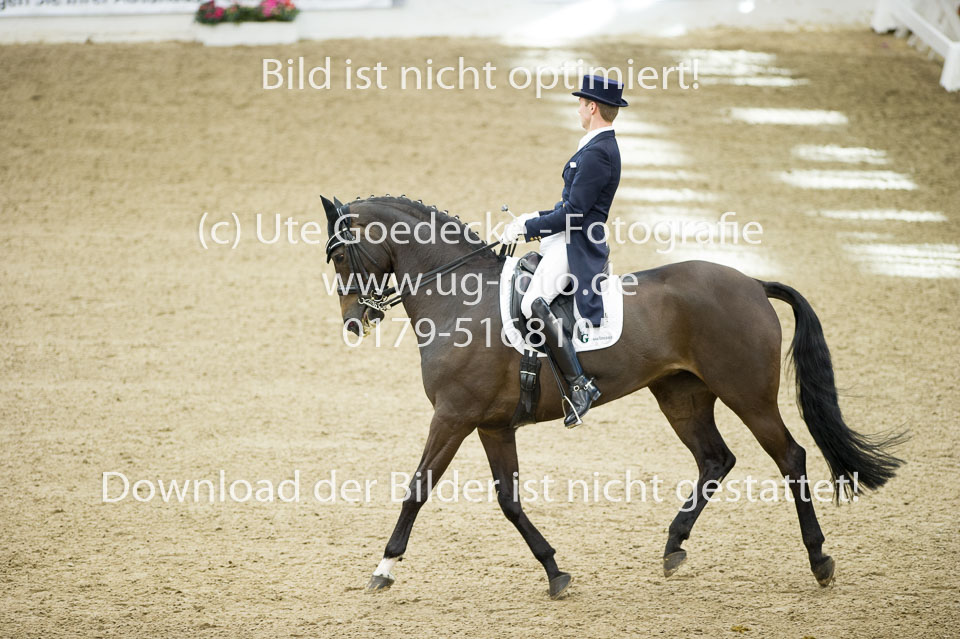 Gießelmann,-Jan-Dirk---Haya-17_11.jpg