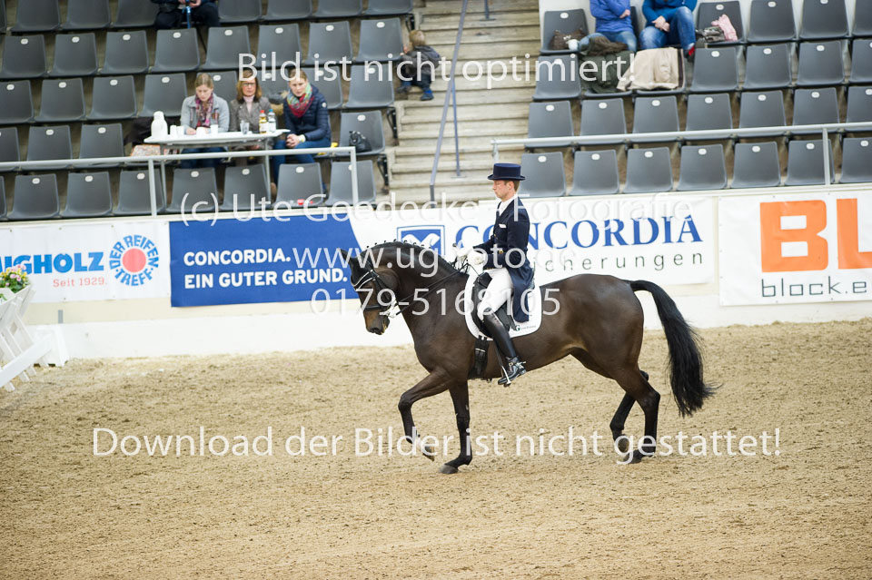 Gießelmann,-Jan-Dirk---Haya-17_12.jpg