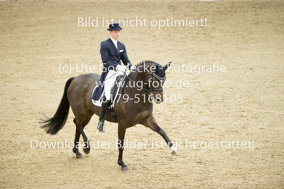 Gießelmann,-Jan-Dirk---Haya-17_14.jpg