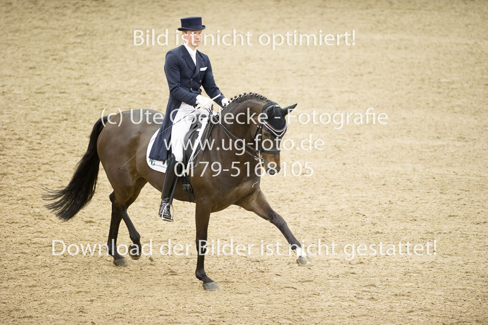 Gießelmann,-Jan-Dirk---Haya-17_15.jpg