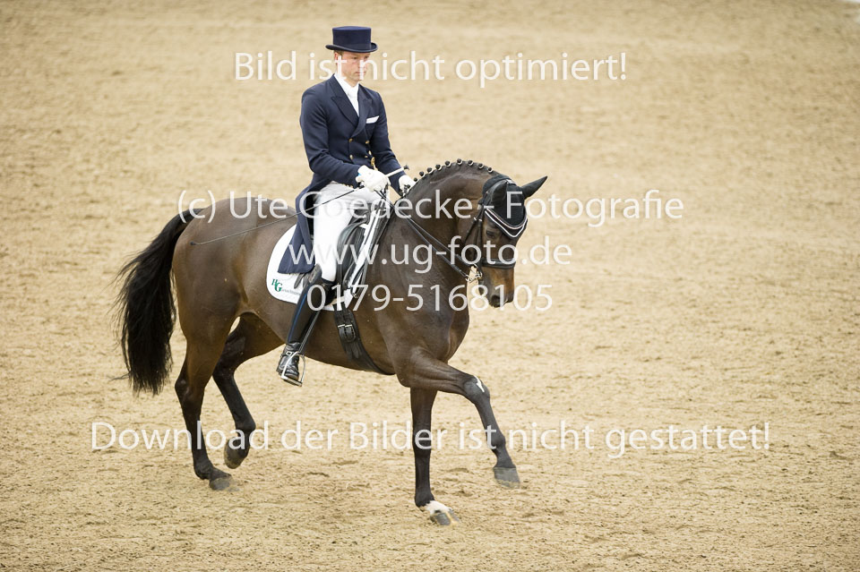Gießelmann,-Jan-Dirk---Haya-17_16.jpg